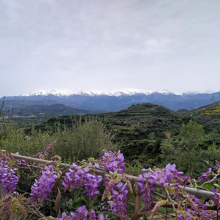 Villa Orgoni Patellari Bagian luar foto