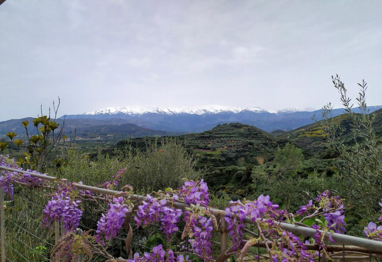 Villa Orgoni Patellari Bagian luar foto