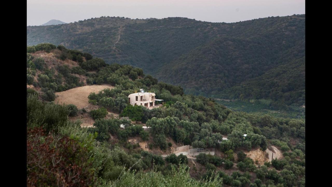 Villa Orgoni Patellari Bagian luar foto