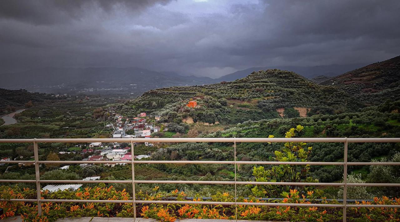 Villa Orgoni Patellari Bagian luar foto