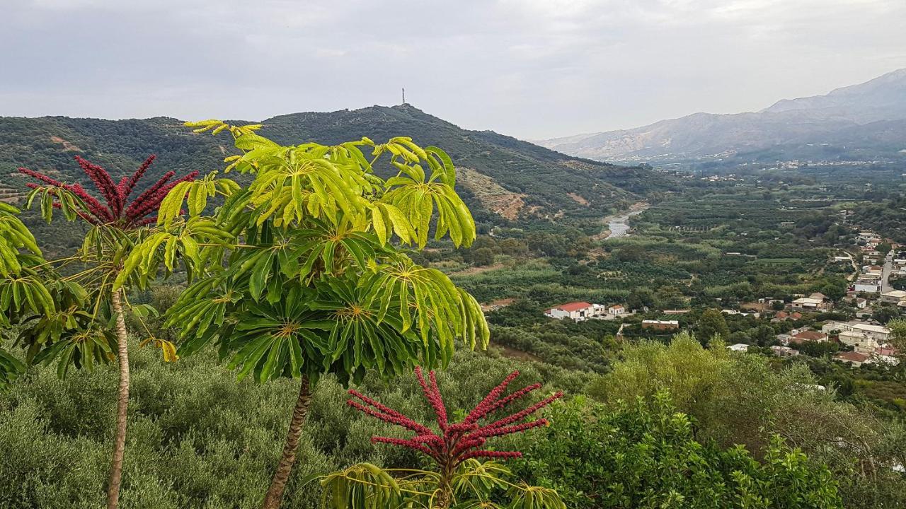 Villa Orgoni Patellari Bagian luar foto