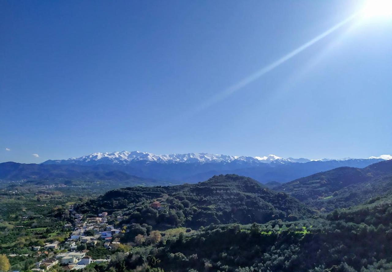 Villa Orgoni Patellari Bagian luar foto