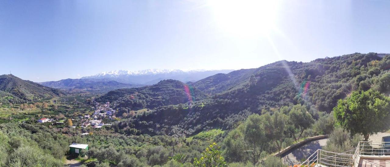 Villa Orgoni Patellari Bagian luar foto