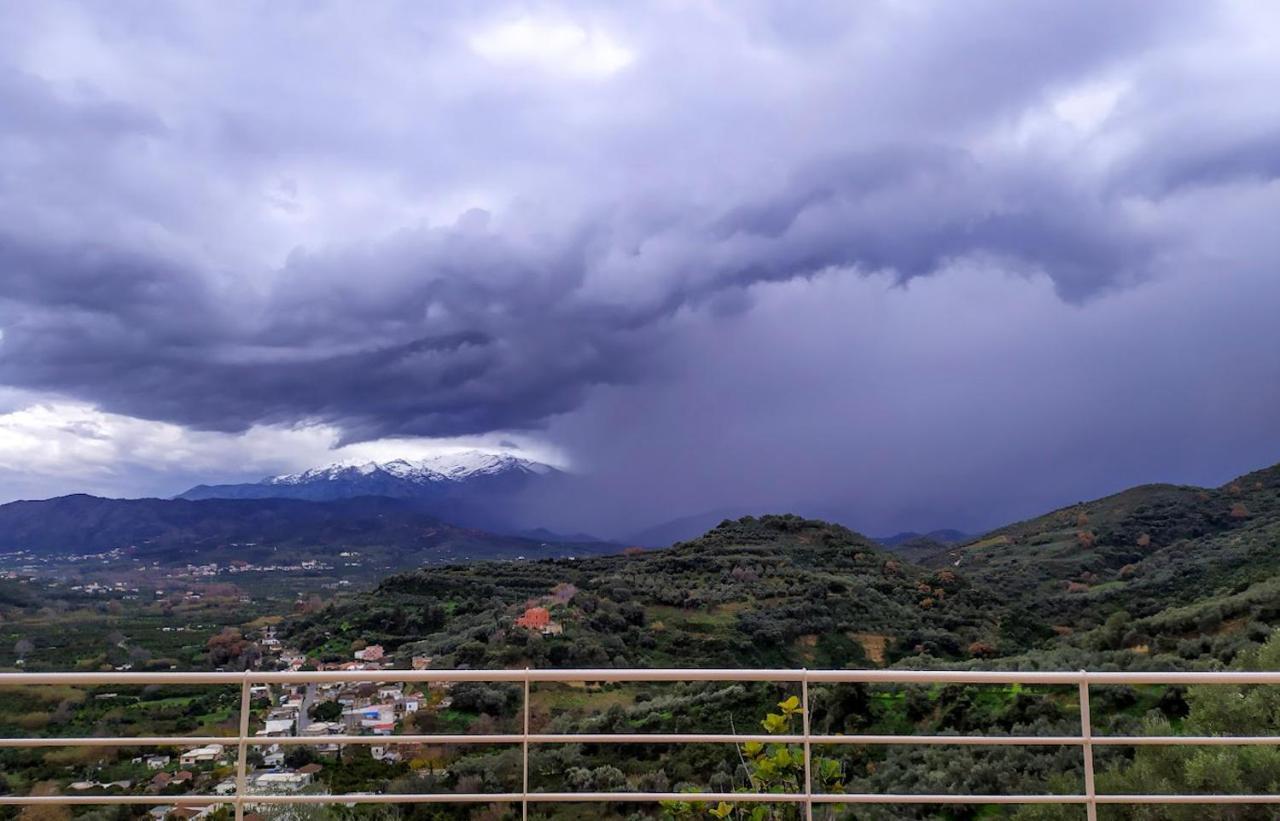 Villa Orgoni Patellari Bagian luar foto