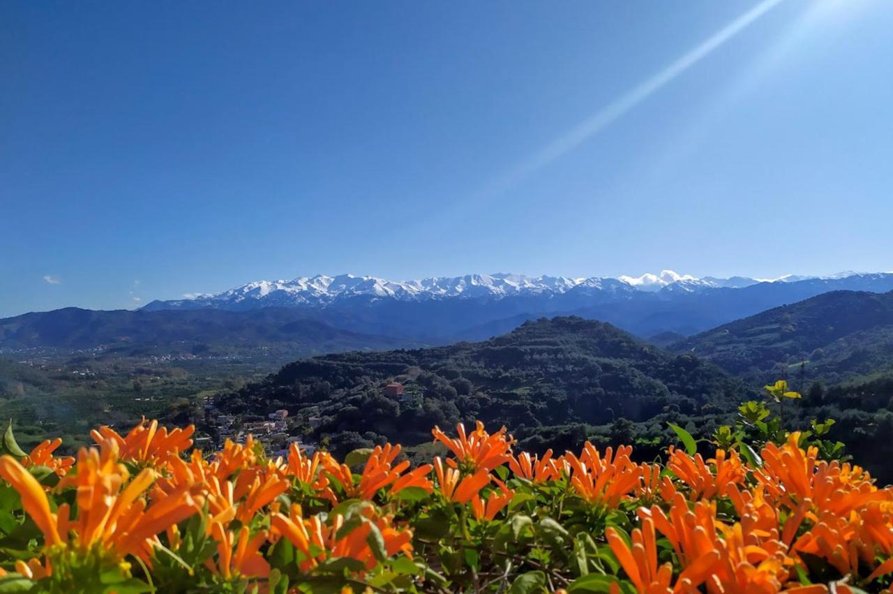 Villa Orgoni Patellari Bagian luar foto